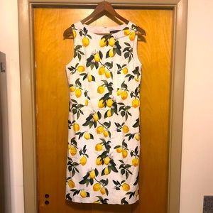 Madison Leigh Cocktail Dress